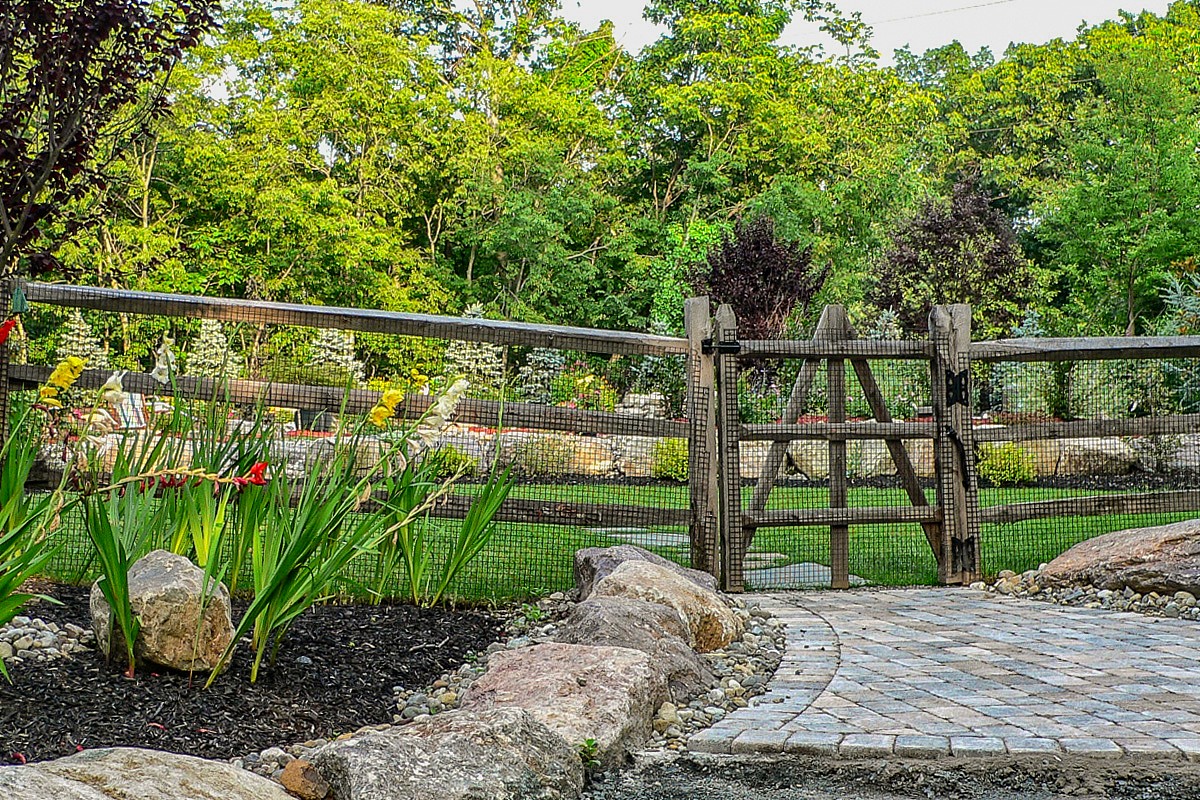 111 Laracca Portfolio