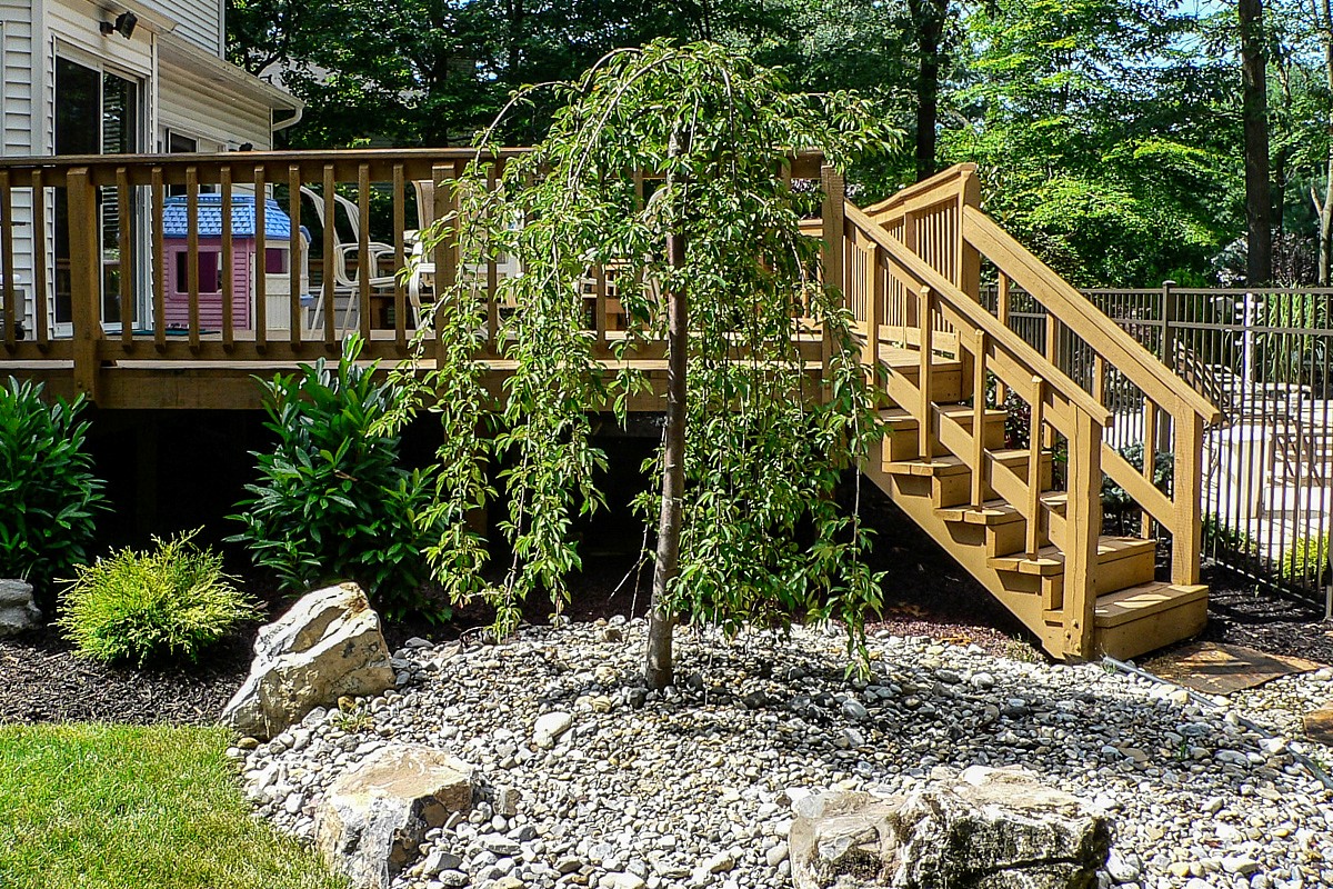 119 Laracca Portfolio