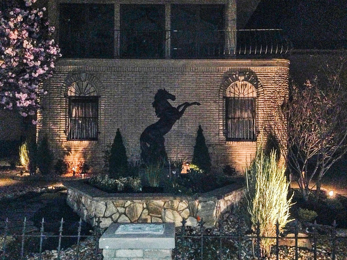 139 Laracca Portfolio